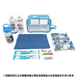 ブレイン BRAIN 熱中対策キット スケルトンB BRAIN BR-210