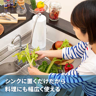 サイテックス 浄水器 SESERA せせら フェーズフリー浄水器 日常用+防災