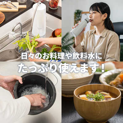 サイテックス 浄水器 SESERA せせら フェーズフリー浄水器 日常用+防災