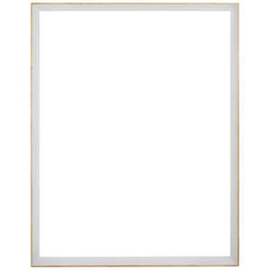 同志舎 木製デッサン額 スロープ 大衣 ホワイト スロープホワイトタイコロ