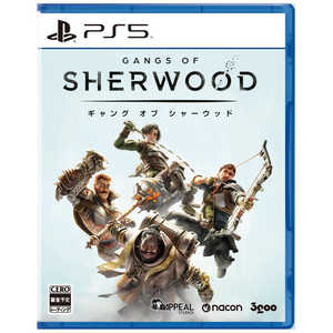 3GOO PS5ゲームソフト ギャング オブ シャーウッド 