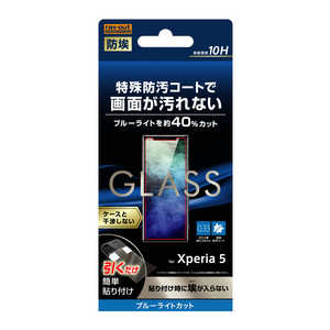 レイアウト Xperia 5 ガラス 防埃 10H ブルーライトカット ソーダガラス RTXP5FBSMG レイアウト Xperia 5 ガラス 防埃 10H ブルーライトカット ソーダガラス RTXP5FBSMG