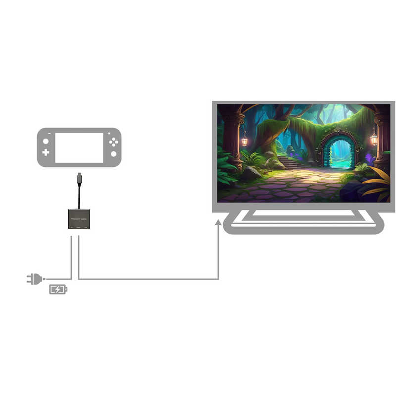 DADANDALL DADANDALL 映像変換アダプタ ［USB-C オス→メス HDMI /USB-A＋USB-Cメス給電 /USB Power Delivery対応 /100W］ 4K対応 DDDSPD301CLG DDDSPD301CLG