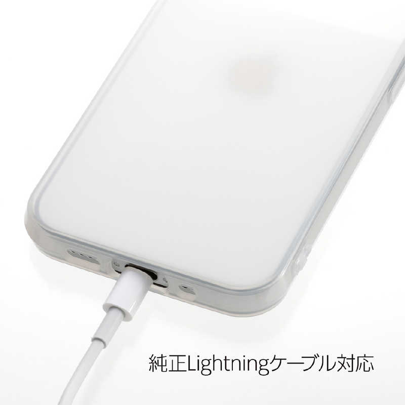アピロス アピロス iPhone 14 Pro 6.1インチHEXAGON MATTE CLEAR マットクリア PEI28HXMCL PEI28HXMCL