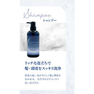 ピコモンテ DモイストシャンプーEX 