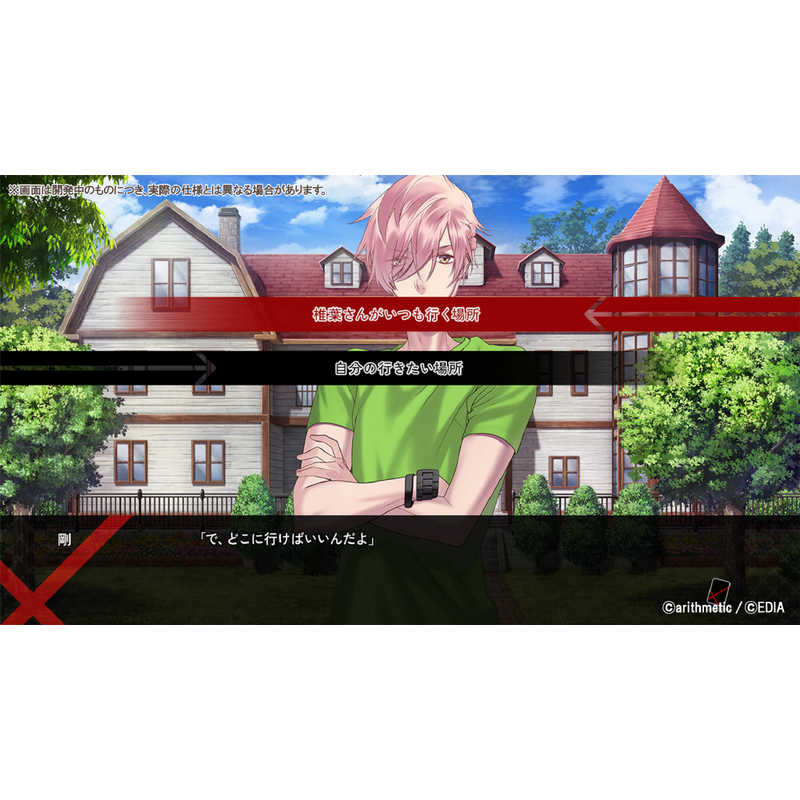 エディア エディア Switchゲームソフト Blackish House sideA→ -Retour- HAC-P-BPJNA HAC-P-BPJNA