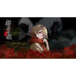 エディア Switchゲームソフト 虧月の夜 HAC-P-BQPXA