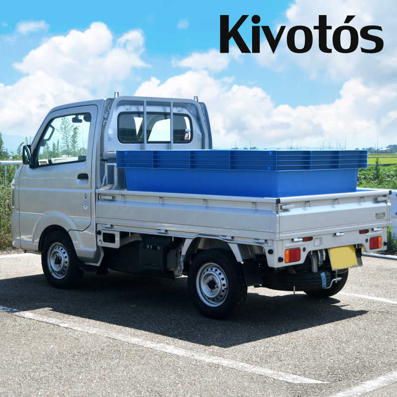 伸和 伸和 キヴォトス ブルー 1000 1000