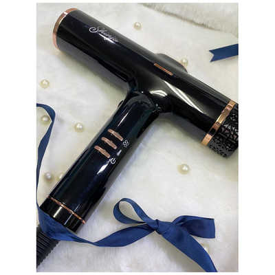 ネクストイノベーション shinju イオンドライヤー 黒蝶(くろちょう