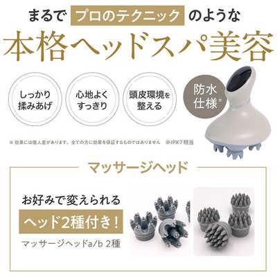 アイビビッド ヘッドスカルプスパ LINKA(リンカ) ウォームグレイ 256