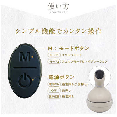 アイビビッド ヘッドスカルプスパ LINKA(リンカ) ウォームグレイ 256