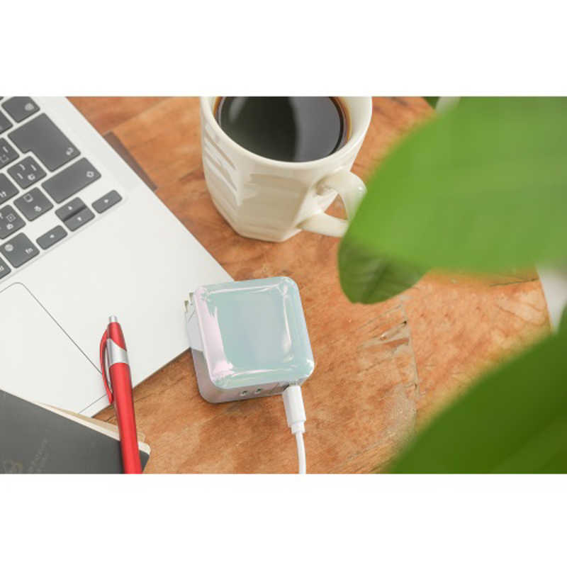 テラ テラ USB Type-C充電器 PD対応66W 3ポート(Type-C ×2 USB-A×1)［USB Power Delivery対応 /GaN 採用］ APD66-C2A1G/ABL APD66-C2A1G/ABL
