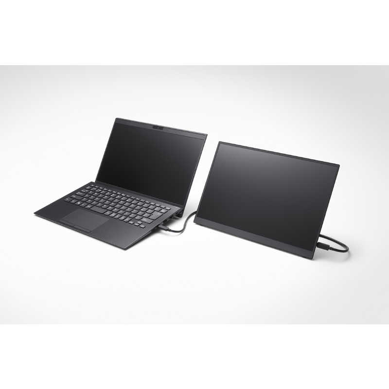 VAIO VAIO Vision＋ 14 モバイルディスプレイ ［14.0型 /フルHD(1920×1080) /ワイド］ VJ5VP141C119 VJ5VP141C119
