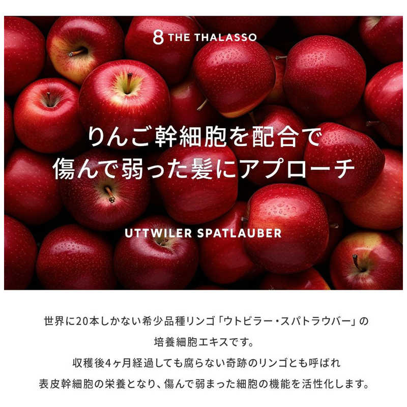 ステラシード ステラシード 8 the thalasso (エイトザタラソ)モイストヘアオイル100ml  
