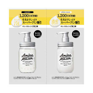 ステラシード AMINO MASON(アミノメイソン) モイスト1DAY 10ML+10ML ステラシード AMINO MASON(アミノメイソン) モイスト1DAY 10ML+10ML