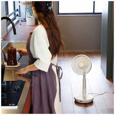 プラズマ医学　健康器具　プラズマコントローラー　取説付き（コピー） オムロン 低周波治療器（リズムたたき）単4×2付｜HV-F013-W