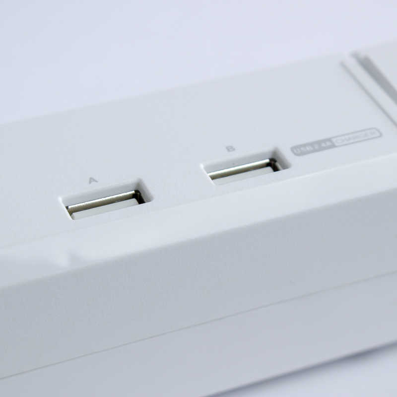 ファーゴ ファーゴ 【アウトレット】USB充電ポート付電源タップ (2ピン式･6個口･USB2ポート･2m) PTBK2600UWH ホワイト【ビックカメラグルｰプオリジナル】 PTBK2600UWH ホワイト【ビックカメラグルｰプオリジナル】