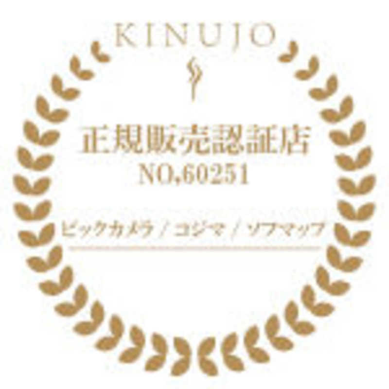 KINUJO KINUJO ストレートアイロン  絹女 KINUJO W- worldwide model-   DS100 DS100