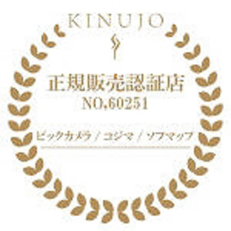KINUJO KINUJO KINUJO W -worldwide model-black 【海外対応ストレートアイロン】 ブラック DS100-BK DS100-BK