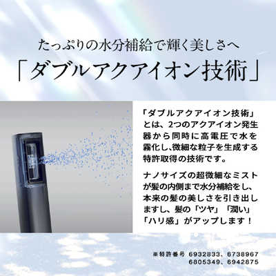 SANOBI ダブルアクアイオンドライヤー シャンパンゴールド BLHD1SG の