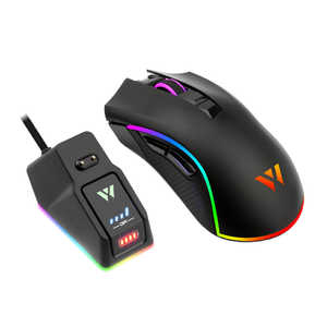 WizarD MK21C1