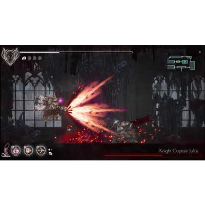 BINARYHAZEINTERACTIV Switchゲームソフト ENDER LILIES