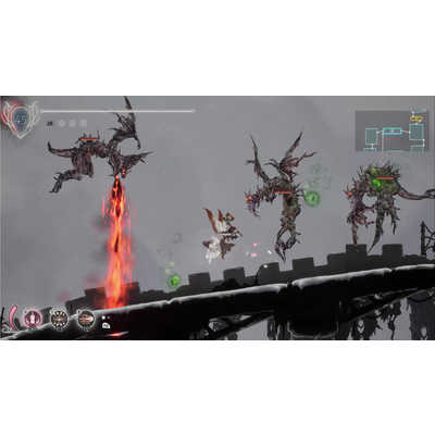 BINARYHAZEINTERACTIV Switchゲームソフト ENDER LILIES