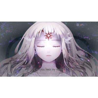 BINARYHAZEINTERACTIV Switchゲームソフト ENDER LILIES