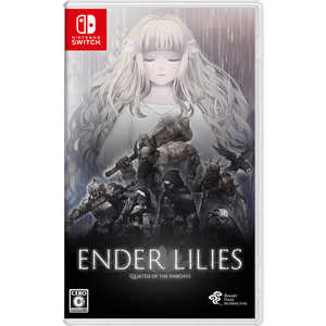 BINARYHAZEINTERACTIV Switchॽե ENDER LILIES: Quietus of the Knights