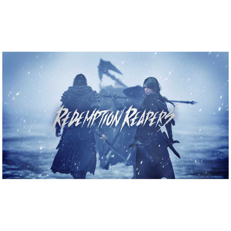 BINARYHAZEINTERACTIV BINARYHAZEINTERACTIV Switchゲームソフト Redemption Reapers  