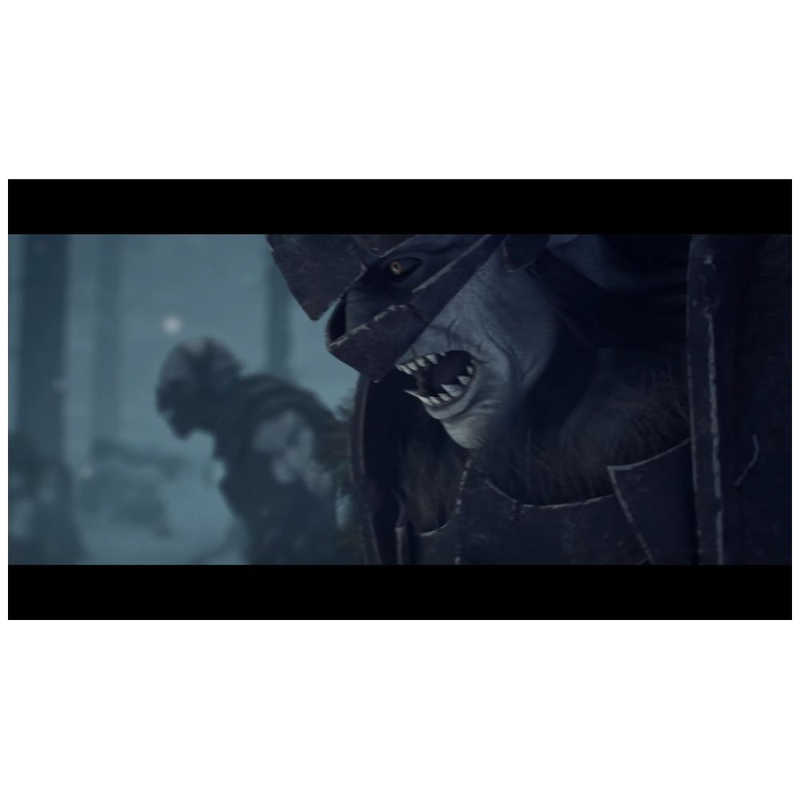 BINARYHAZEINTERACTIV BINARYHAZEINTERACTIV PS4ゲームソフト Redemption Reapers 限定版  