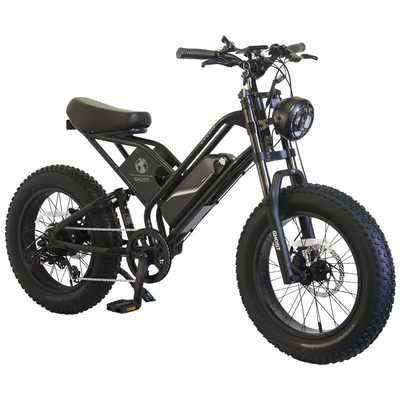 CYCOO 電動アシスト自転車 -GHOST サイクーゴースト [20インチ / 7段