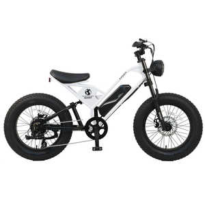 CYCOO dAVXg] -GHOST TCN[S[Xg [20C`/7iϑ] J[Fp[zCg ygiɂԕisz TDN-237L-P