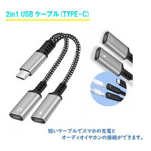ROYALMONSTER 2in1 USB�P�[�u��(TYPE-C�I�X toTYPE-C���X×2) �mUSB-C �� USB-C�n RM-3591