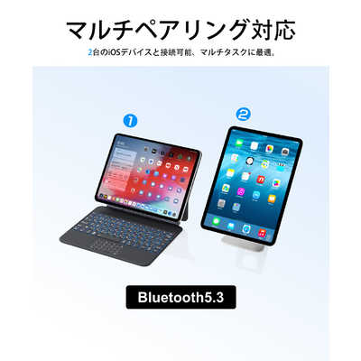 EWIN SmartPad Folio Premium(一体型テンキー＆タッチパッド)iPad用