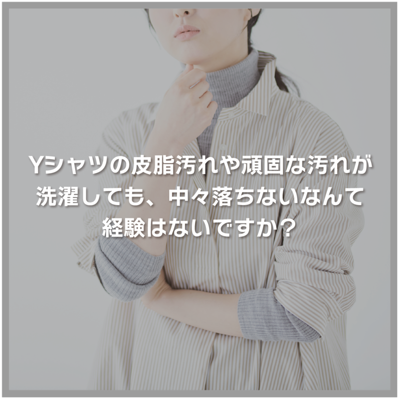 エニーシング エニーシング ナノファインバブルホース エニーシング ホワイト 65960 65960