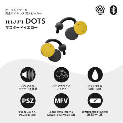 NTTソノリティ 完全ワイヤレスイヤホン nwm ヌーム 耳