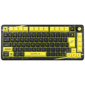 ANDGAMER �Q�[�~���O�L�[�{�[�h(���s�b�h�g���K�[�Ή�) AIM1 �m�L�� / USB�n �u���b�N RID3001A1JIS