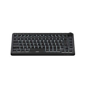 ANDGAMER �Q�[�~���O�L�[�{�[�h(���s�b�h�g���K�[�Ή�) AIM1 �m�L�� / USB�n �u���b�N 3001A1JISBK