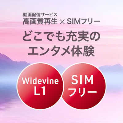アイワ AIWA aiwa tab AS11L-2 Android タブレット ［10.95型 / SIM