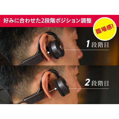 AIWA Butterfly NEO HPB-SW20 ワイヤレス ヘッドホン アイワ AIWA HPB-SW20 Butterfly NEO ワイヤレスヘッドホン