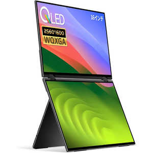 USB-C³ 2PC˥ EHOMEWEI Х˥ X꡼ [16 /WQXGA(25601600 /磻] XQ-160NW