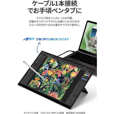 EHOMEWEI QLED 18インチ 2.5K 薄型 USB-C接続 タッチペン対応 PC