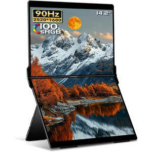 EHOMEWEI USB-Cڑ 2ʃoCj^[ XV[Y m14.0^ / WQXGA(2560×1600) / Ch / 76Hzn XP-142NW
