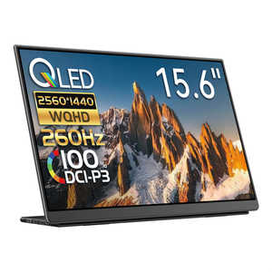 EHOMEWEI USB-C接続 モバイルモニター Lシリーズ(タッチパネル) ［15.6型 / 有機EL WQHD(2560×1440) / ワイド / 260Hz］ LQHG-156NW
