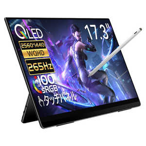 EHOMEWEI USB-C�ڑ� ���o�C�����j�^�[ R�V���[�Y �m17.3�^ / �L�@EL WQHD(2560×1440) / ���C�h / 260Hz�n RQHG-173PW