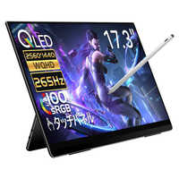 EHOMEWEI USB-C接続 モバイルモニター Rシリーズ ［17.3型 / 有機EL