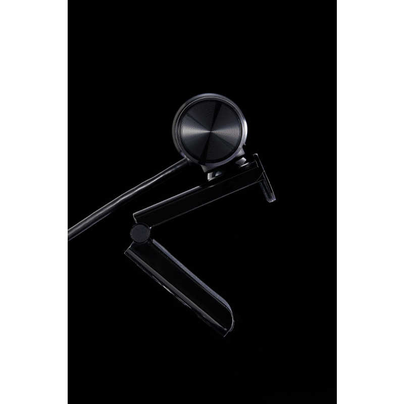 AVERMEDIA AVERMEDIA ウェブカメラ LIVE STREAMER CAM 313 PW313 LIVE STREAMER CAM 313 PW313