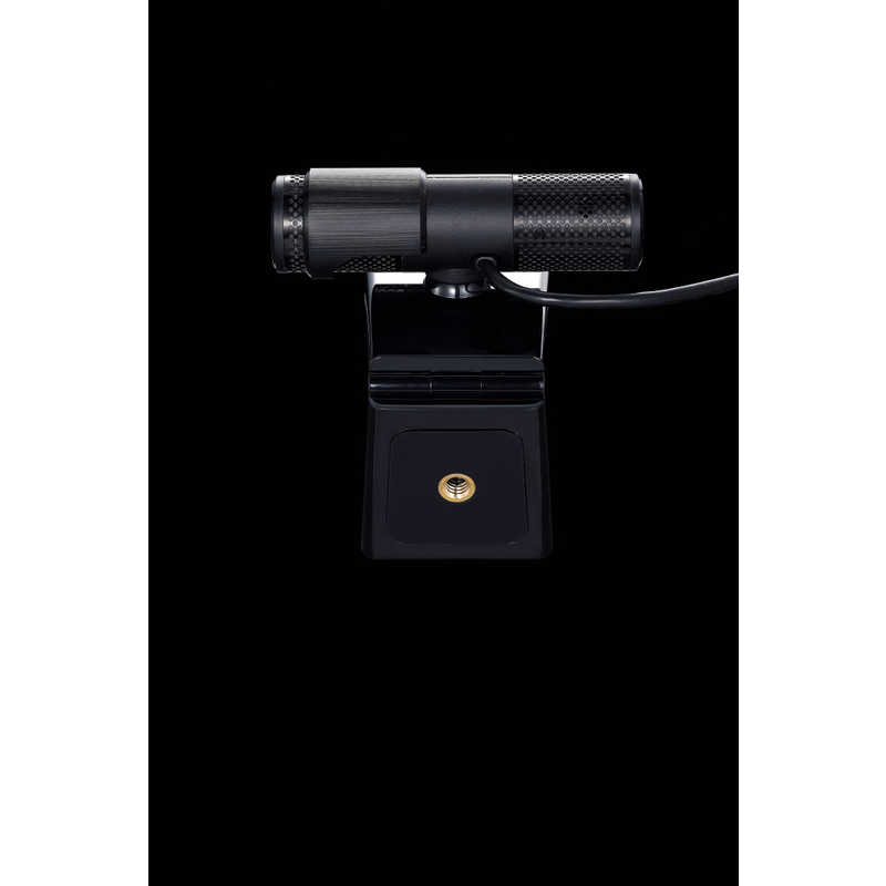 AVERMEDIA AVERMEDIA ウェブカメラ LIVE STREAMER CAM 313 PW313 LIVE STREAMER CAM 313 PW313