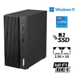 MSI デスクトップパソコン (UHD Graphics 730) ［モニター無し /intel Core i5 /メモリ:16GB /SSD:512GB /2025年4月モデル］ PRO-DP180-14A-804JP